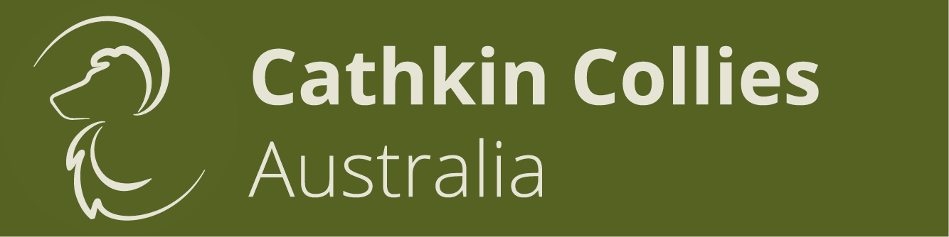 Cathkin Collies